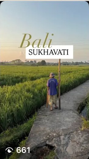 Sukhavati Bali rice field walk at golden hour